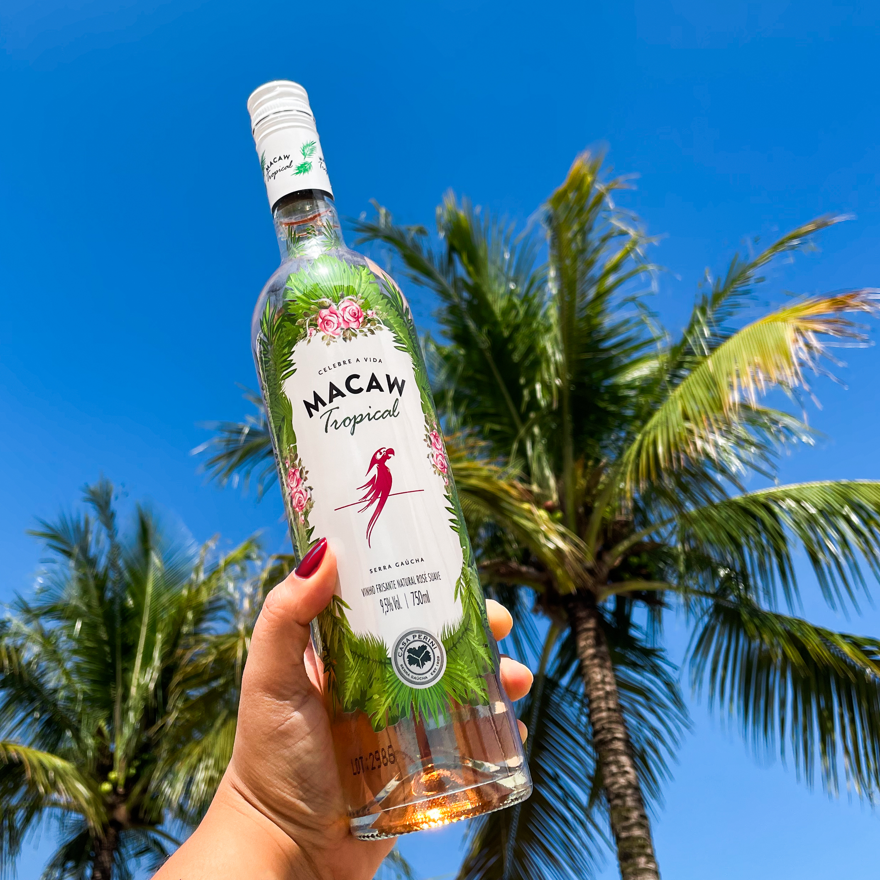 Macaw Tropical Rosé - Casa Perini